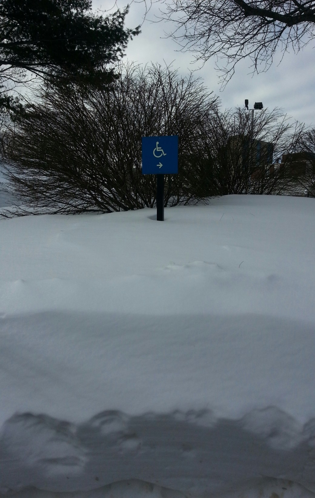 20150218_084708-1.jpg image